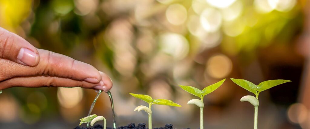 De la busqueda de validación al crecimiento personal